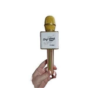 Sing Along Pro GOLD -Wireless Express Microphone W/ Controls